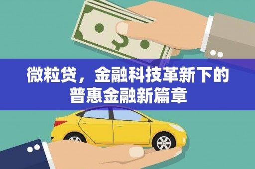 张北微粒贷，金融科技革新下的普惠金融新篇章