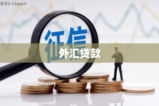 张北外汇贷款
