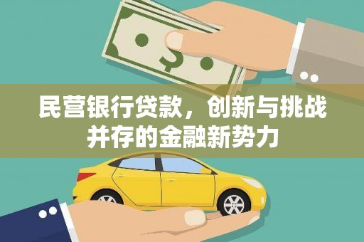 张北民营银行贷款，创新与挑战并存的金融新势力