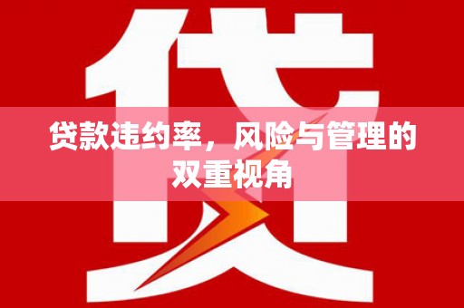 张北贷款违约率，风险与管理的双重视角