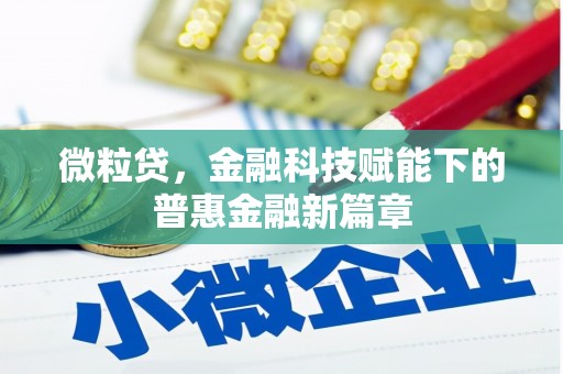 张北微粒贷，金融科技赋能下的普惠金融新篇章