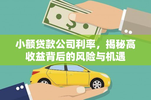 张北小额贷款公司利率，揭秘高收益背后的风险与机遇