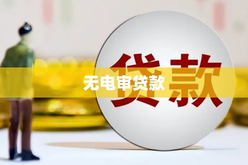 张北无电审贷款