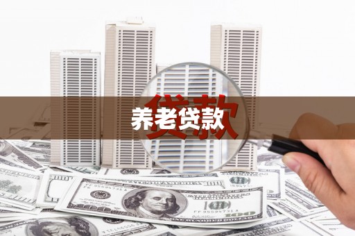 张北养老贷款