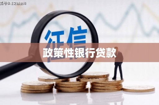 张北政策性银行贷款
