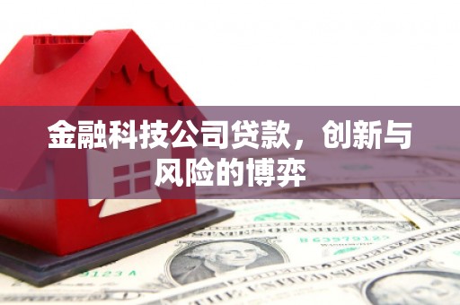 张北金融科技公司贷款，创新与风险的博弈