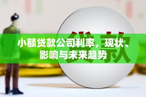 张北小额贷款公司利率，现状、影响与未来趋势