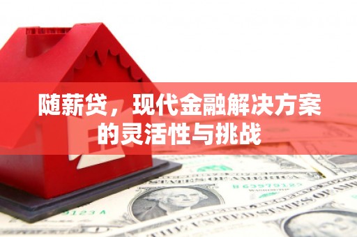 张北随薪贷，现代金融解决方案的灵活性与挑战