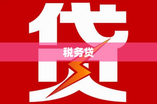 张北税务贷