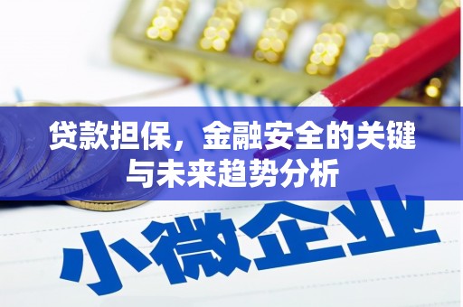 张北贷款担保，金融安全的关键与未来趋势分析