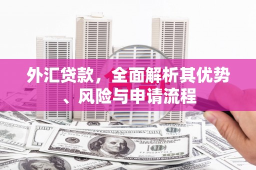 张北外汇贷款，全面解析其优势、风险与申请流程