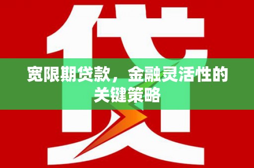 张北宽限期贷款，金融灵活性的关键策略