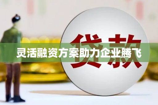 张北灵活融资方案助力企业腾飞