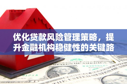 张北优化贷款风险管理策略，提升金融机构稳健性的关键路径