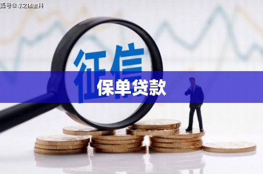 张北保单贷款