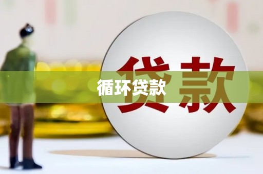 张北循环贷款