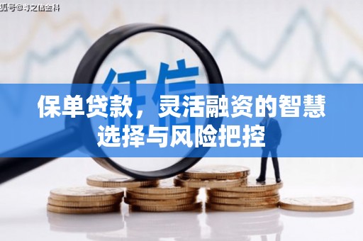 张北保单贷款，灵活融资的智慧选择与风险把控