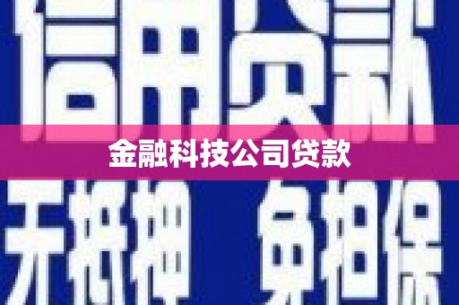 张北金融科技公司贷款