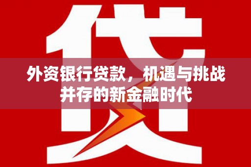 张北外资银行贷款，机遇与挑战并存的新金融时代