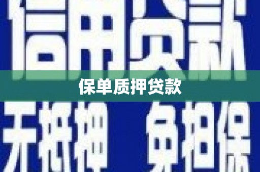 张北保单质押贷款