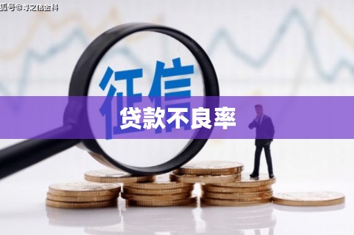 张北贷款不良率