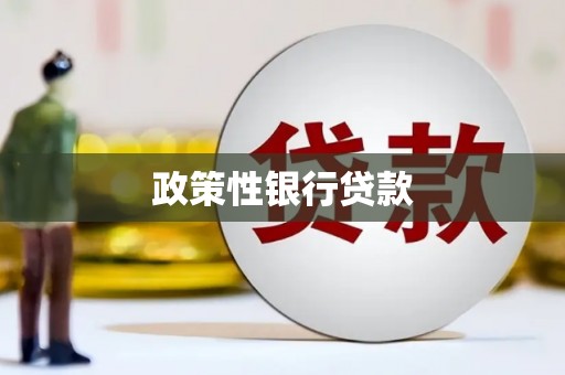 张北政策性银行贷款