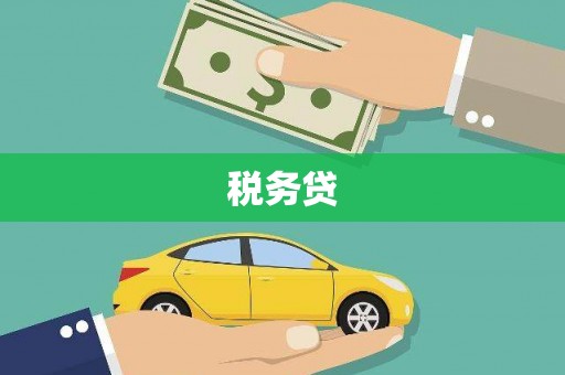 张北税务贷