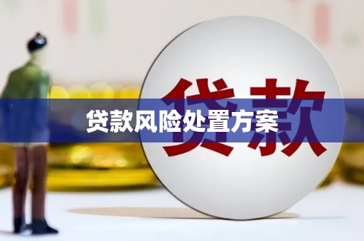 张北贷款风险处置方案