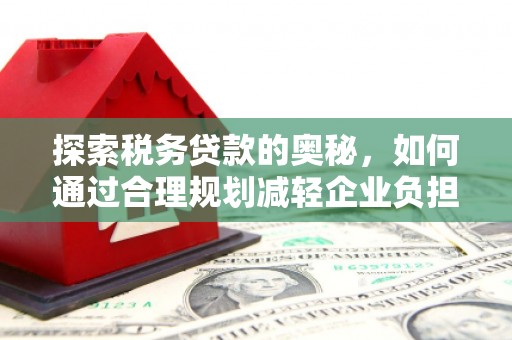 张北探索税务贷款的奥秘，如何通过合理规划减轻企业负担