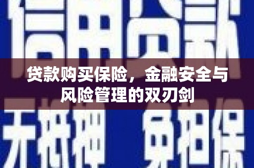 张北贷款购买保险，金融安全与风险管理的双刃剑