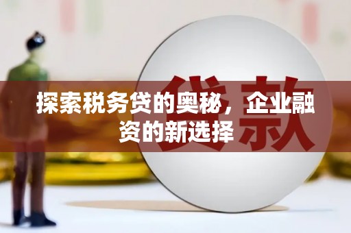 张北探索税务贷的奥秘，企业融资的新选择