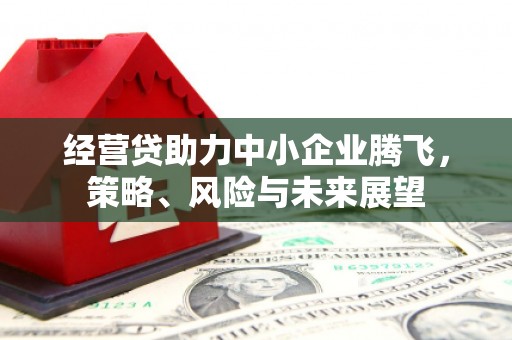 张北经营贷助力中小企业腾飞，策略、风险与未来展望