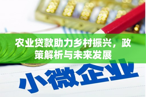 张北农业贷款助力乡村振兴，政策解析与未来发展