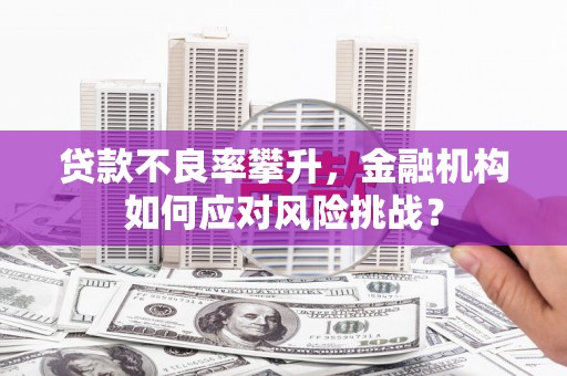 张北贷款不良率攀升，金融机构如何应对风险挑战？
