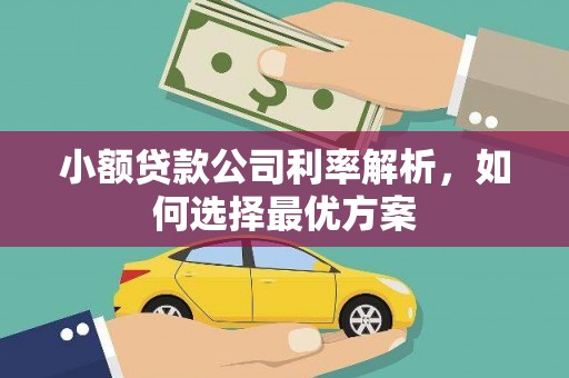 张北小额贷款公司利率解析，如何选择最优方案