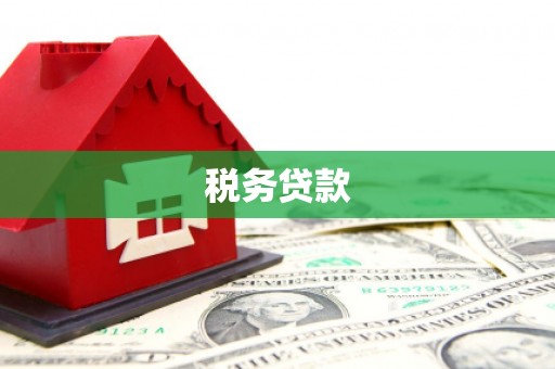 张北税务贷款