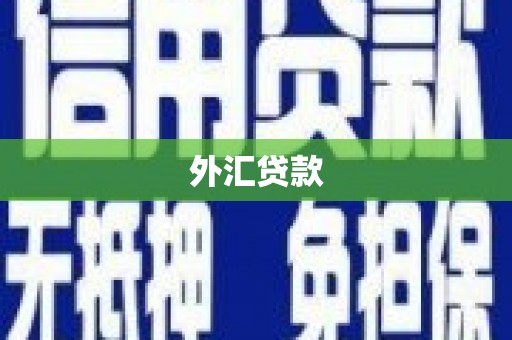 张北外汇贷款