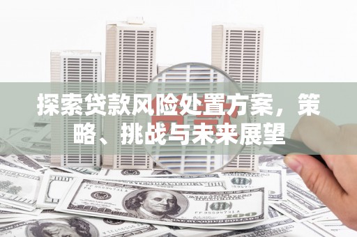张北探索贷款风险处置方案，策略、挑战与未来展望