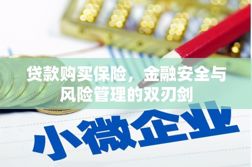 张北贷款购买保险，金融安全与风险管理的双刃剑