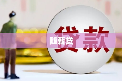 张北随薪贷