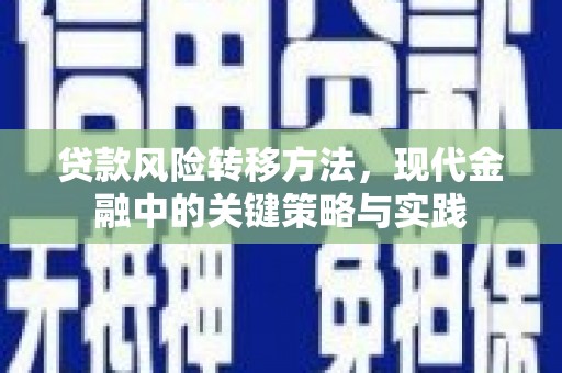 张北贷款风险转移方法，现代金融中的关键策略与实践
