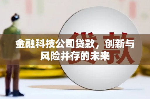 张北金融科技公司贷款，创新与风险并存的未来