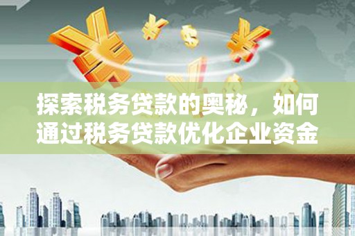 张北探索税务贷款的奥秘，如何通过税务贷款优化企业资金流