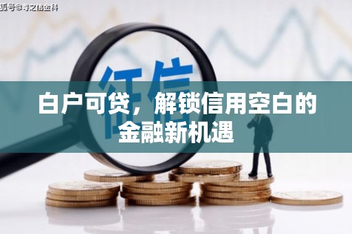 张北白户可贷，解锁信用空白的金融新机遇