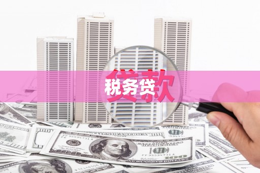张北税务贷