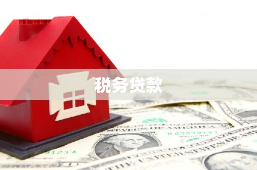 张北税务贷款