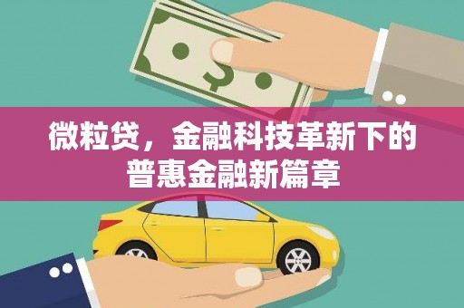 张北微粒贷，金融科技革新下的普惠金融新篇章