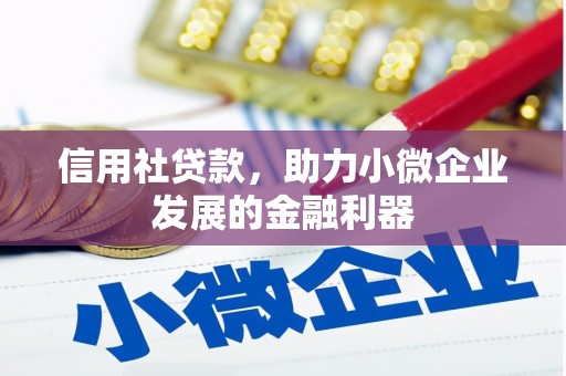 张北信用社贷款，助力小微企业发展的金融利器