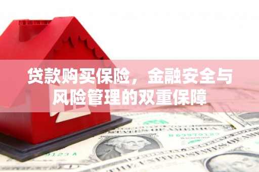 张北贷款购买保险，金融安全与风险管理的双重保障