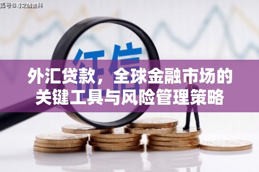 张北外汇贷款，全球金融市场的关键工具与风险管理策略
